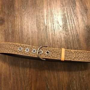 Coach belt